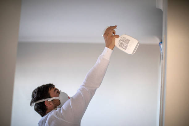 Best Kitchen Mold Remediation in Lakeland Village, CA