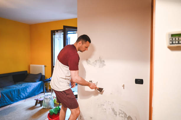 Best Industrial Mold Remediation in Lakeland Village, CA